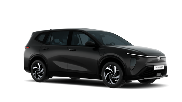 VinFast Limo Green - Ảnh 15