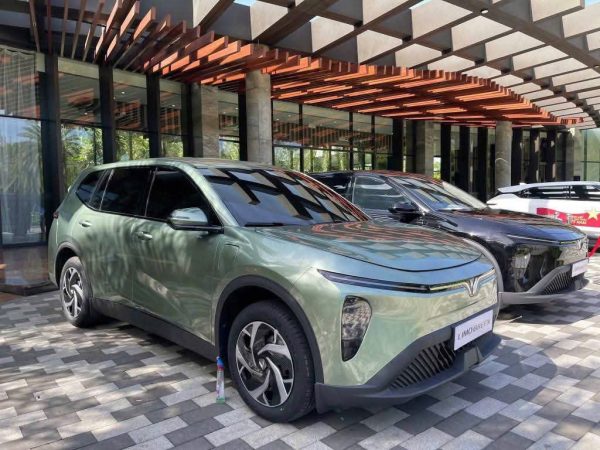 VinFast Limo Green - Ảnh 11